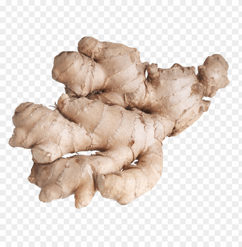 ginger PNG images with transparent backgrounds - Image ID 11246