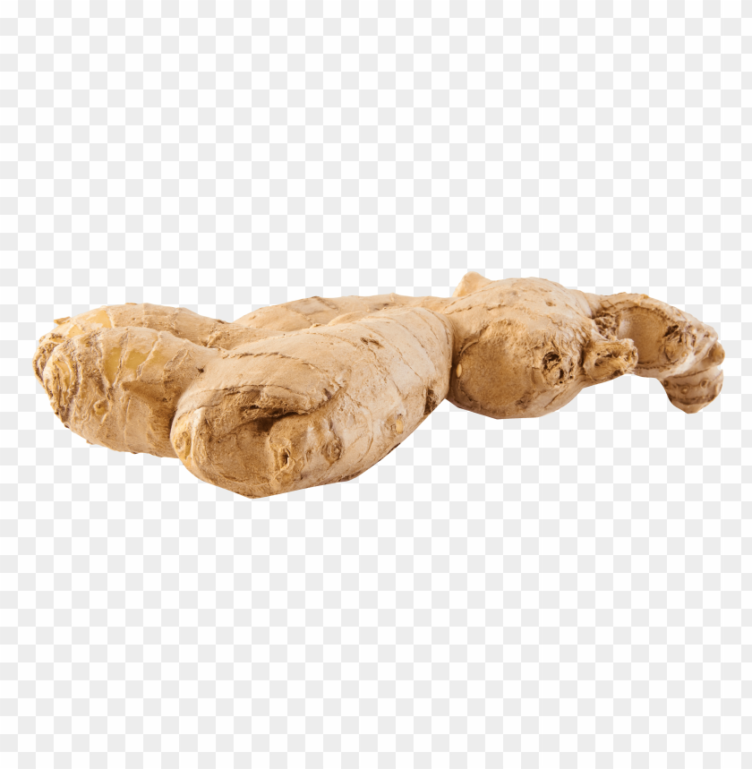 ginger PNG images with transparent backgrounds - Image ID 11250