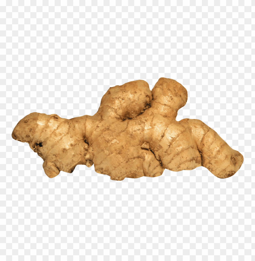 ginger PNG images with transparent backgrounds - Image ID 11253