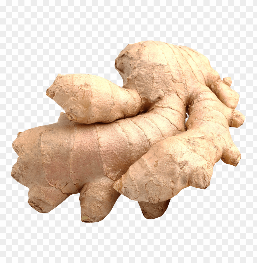 ginger PNG images with transparent backgrounds - Image ID 11262