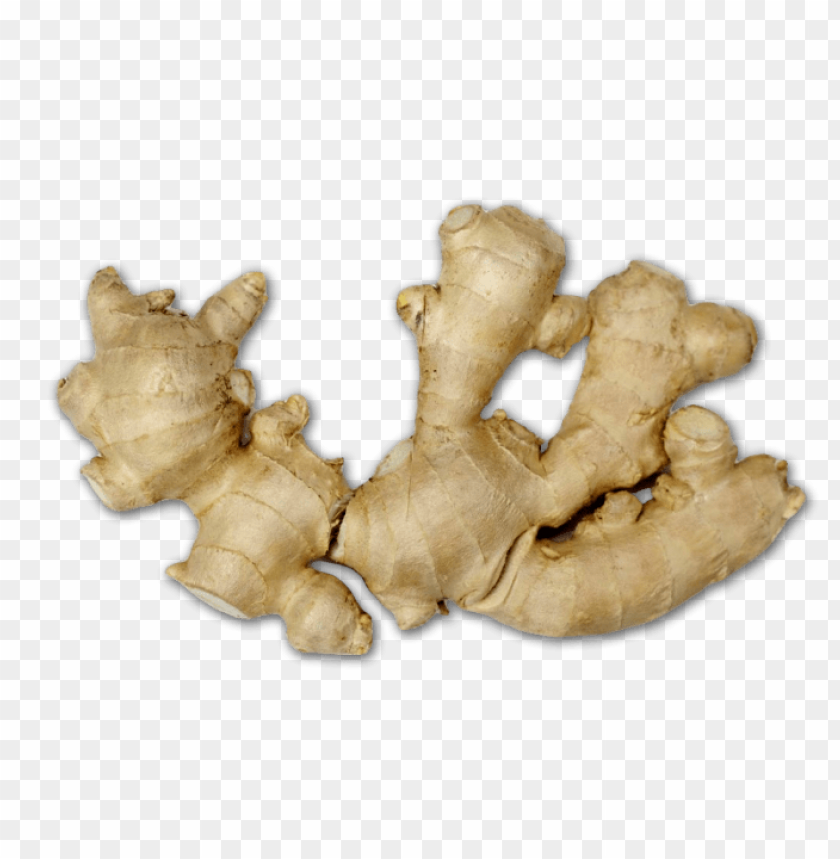 ginger PNG images with transparent backgrounds - Image ID 11265