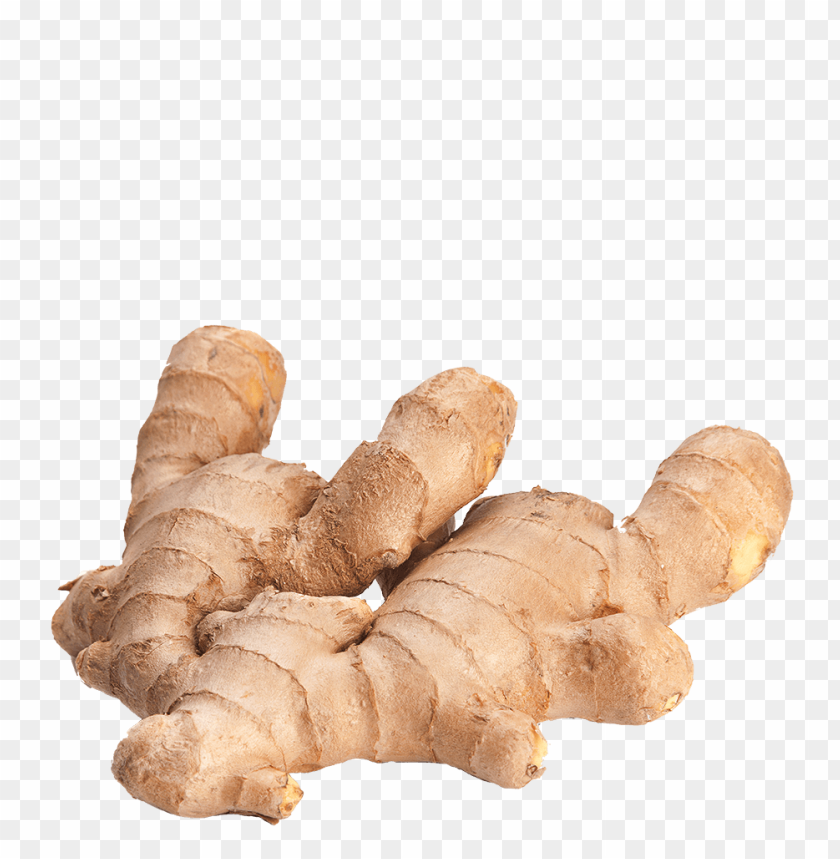 ginger PNG images with transparent backgrounds - Image ID 11266