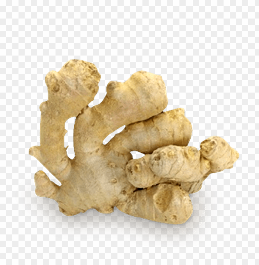 ginger PNG images with transparent backgrounds - Image ID 11270