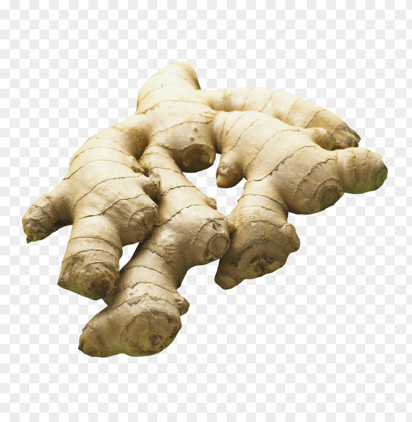ginger PNG images with transparent backgrounds - Image ID 11861