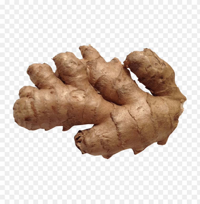ginger PNG images with transparent backgrounds - Image ID 11864