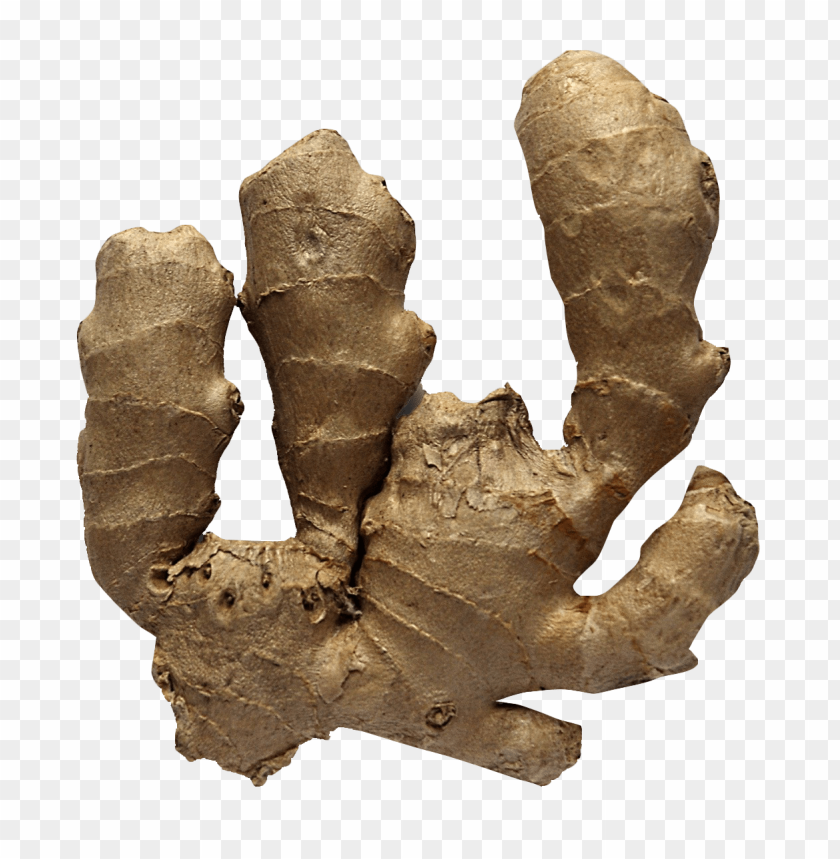 ginger PNG images with transparent backgrounds - Image ID 13403