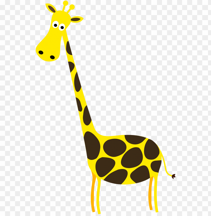 animal, giraffe,حيوان,زرافة