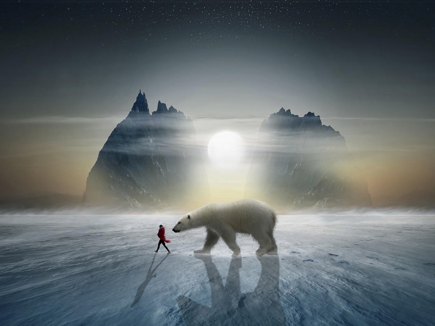 girl, bear, snow, mountains, polar, friend, photoshop