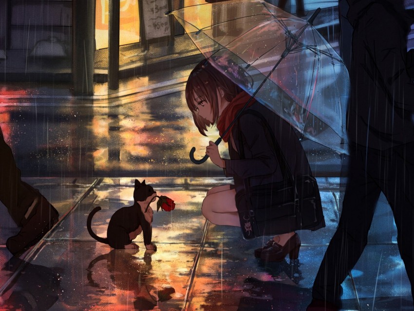 Girl Kitten Flower Anime Street Rain Background Toppng