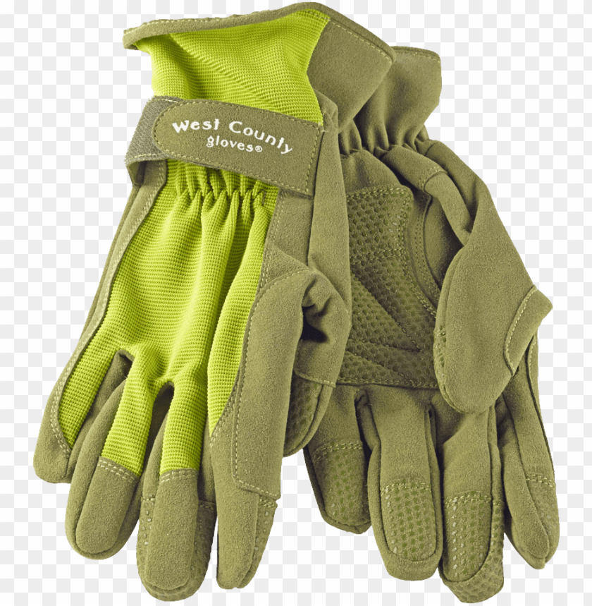 
gloves
, 
genuine
, 
garments
, 
whole hand
