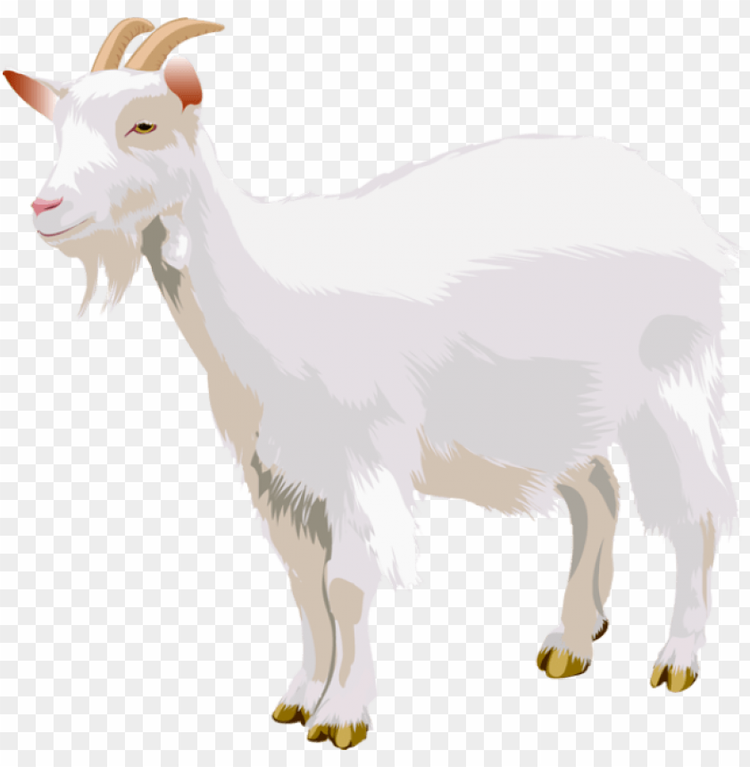 Goat Png Images Background - Image ID 2915 | TOPpng
