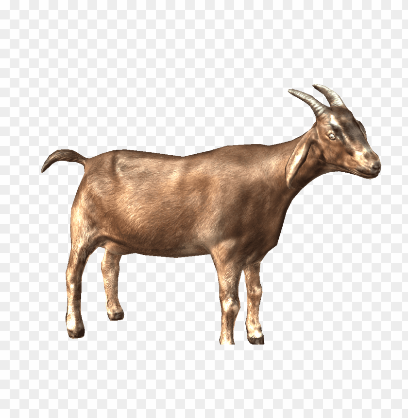 Goat Png PNG Image With Transparent Background | TOPpng