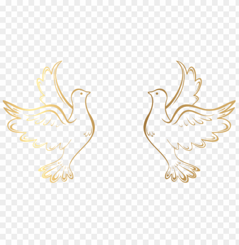 gold doves decoration transparent
