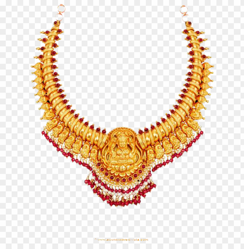 Gold Necklace Jewelry Png Png Image With Transparent Background Toppng - abs with gold chain roblox