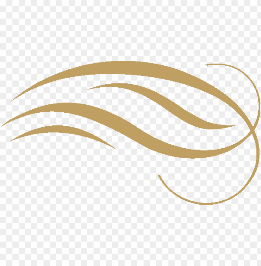 Gold Swirl Design Png Png Image With Transparent Background Toppng