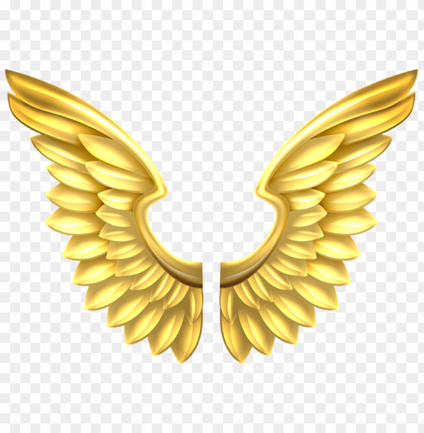 gold wings transparent