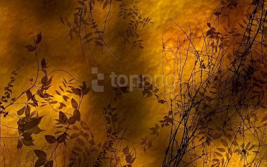 golden dusk background best stock photos - Image ID 61436