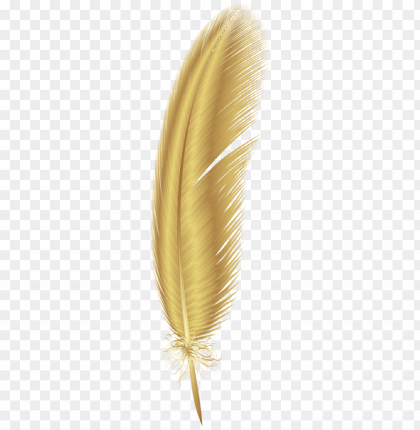 golden feather png