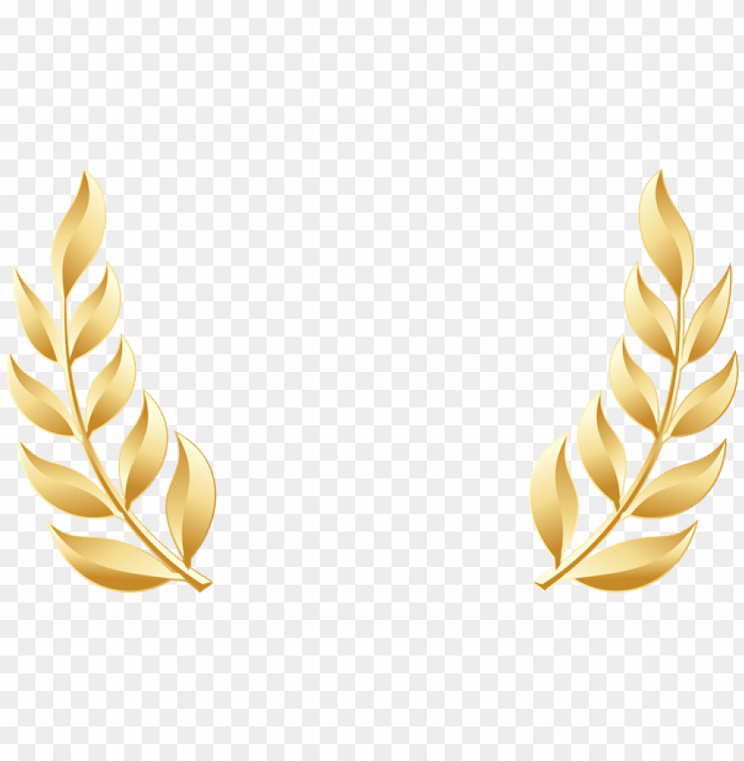 golden laurel leaves transparent clipart png photo - 45874