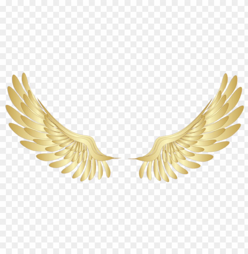 golden wings decorpicture