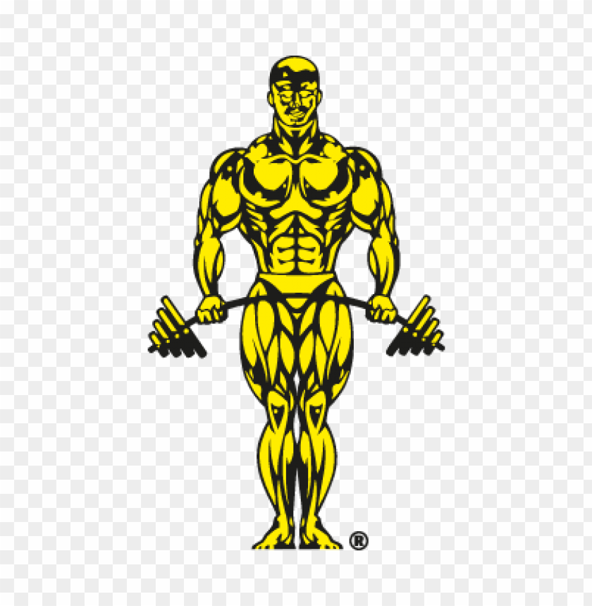  golds gym logo vector free - 465805