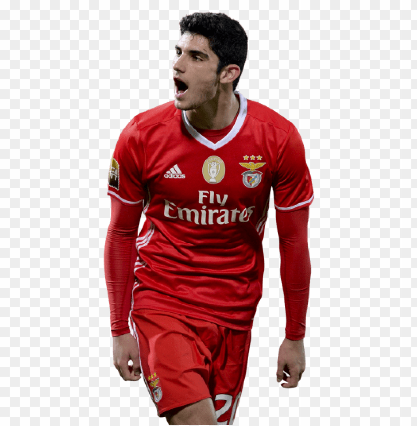 Download goncalo guedes png images background@toppng.com