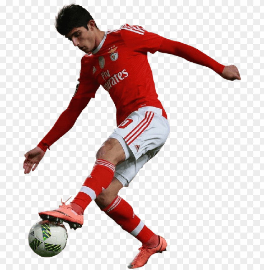 gonçalo guedes, benfica, guedes, portugal, fifa ,football ,sport