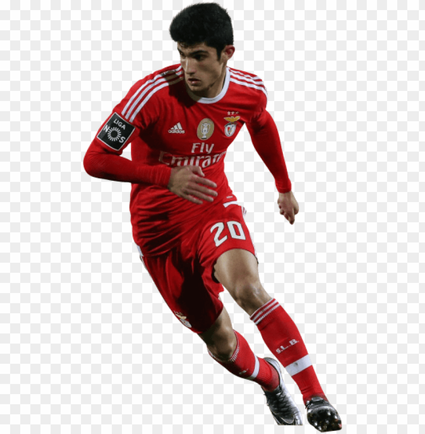gonçalo guedes, benfica, guedes, portugal, fifa ,football ,sport