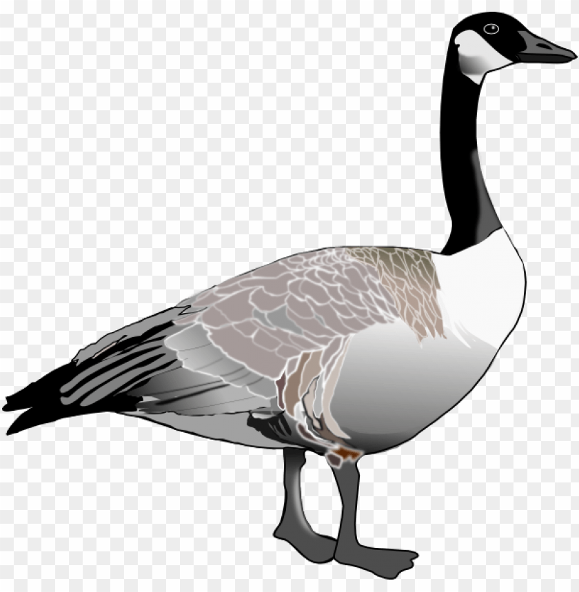 goose png,goose,goose transparent background,goose file png,goose clipart,goose png images,goose png clipart