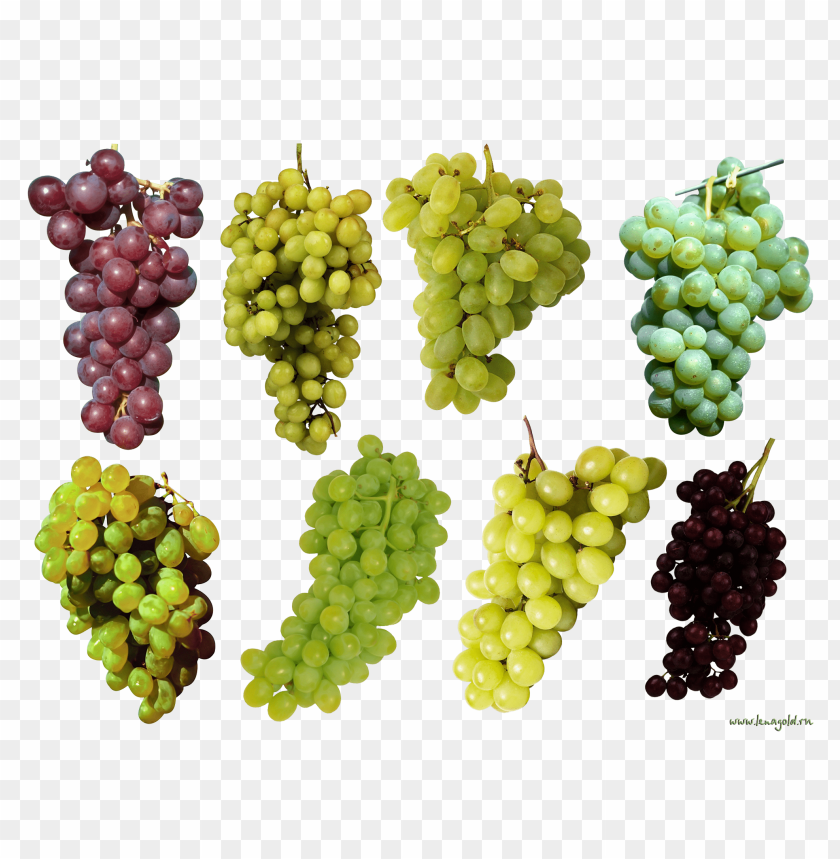 
grape
, 
berry
, 
grapes
, 
fruit
, 
food
