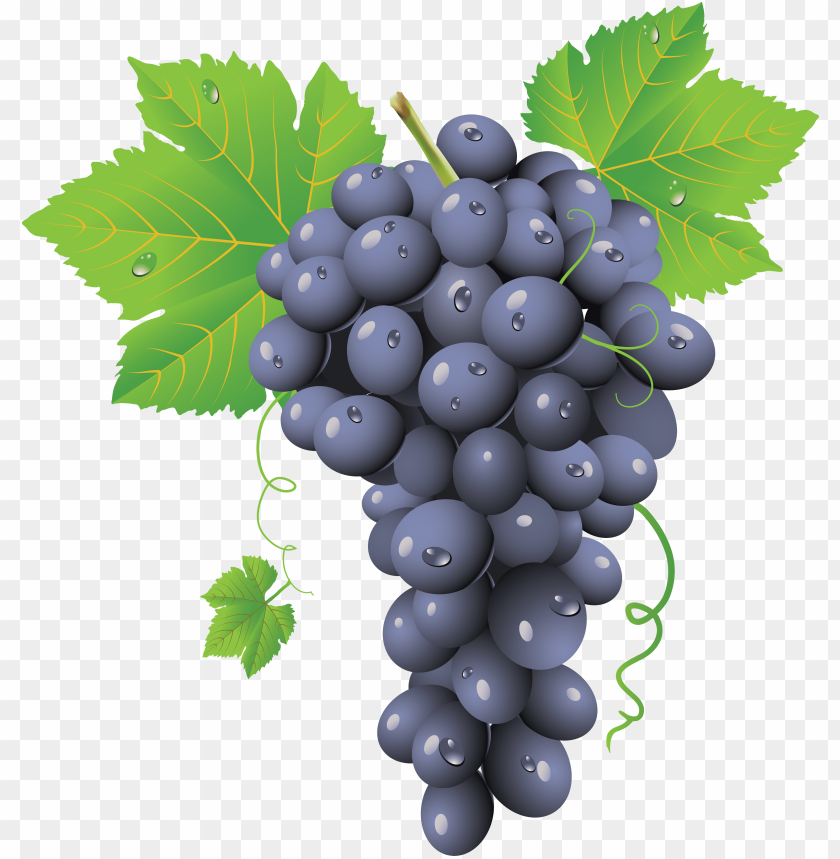 
grape
, 
berry
, 
grapes
, 
fruit
, 
food
