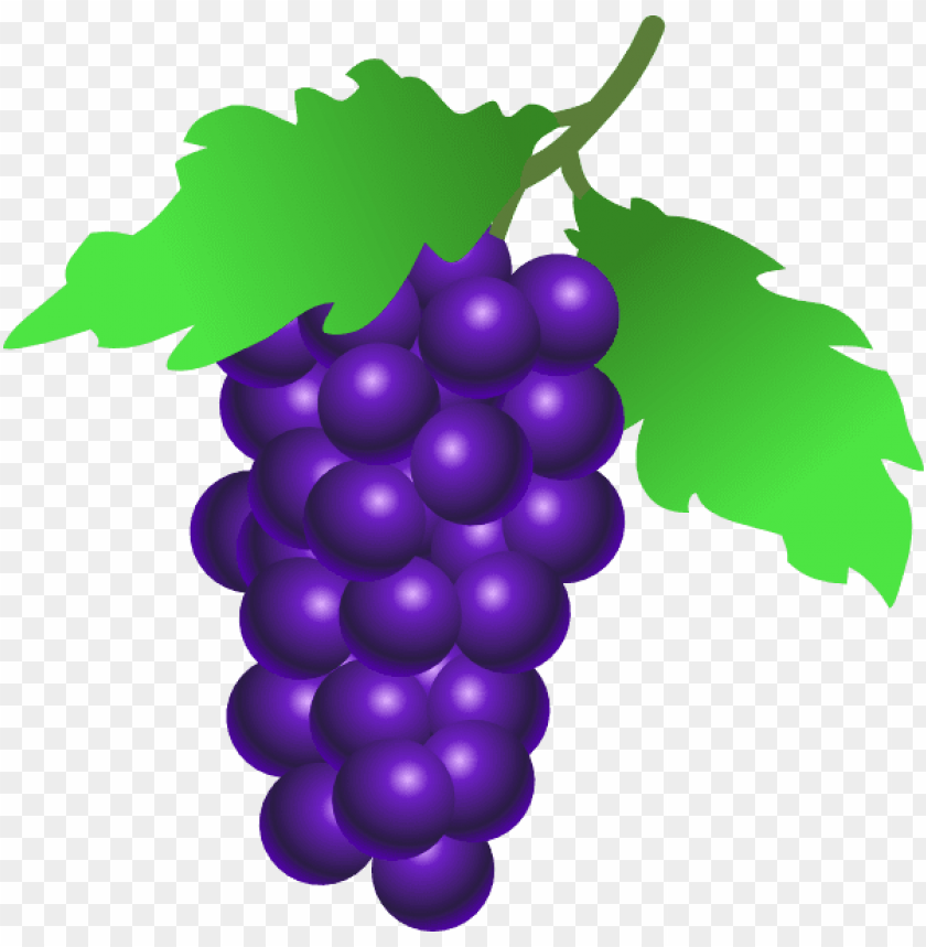 Grapes Clipart Png Photo - 28497 | TOPpng