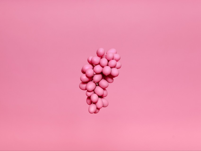 grapes, bunch, pink, paint, minimalism