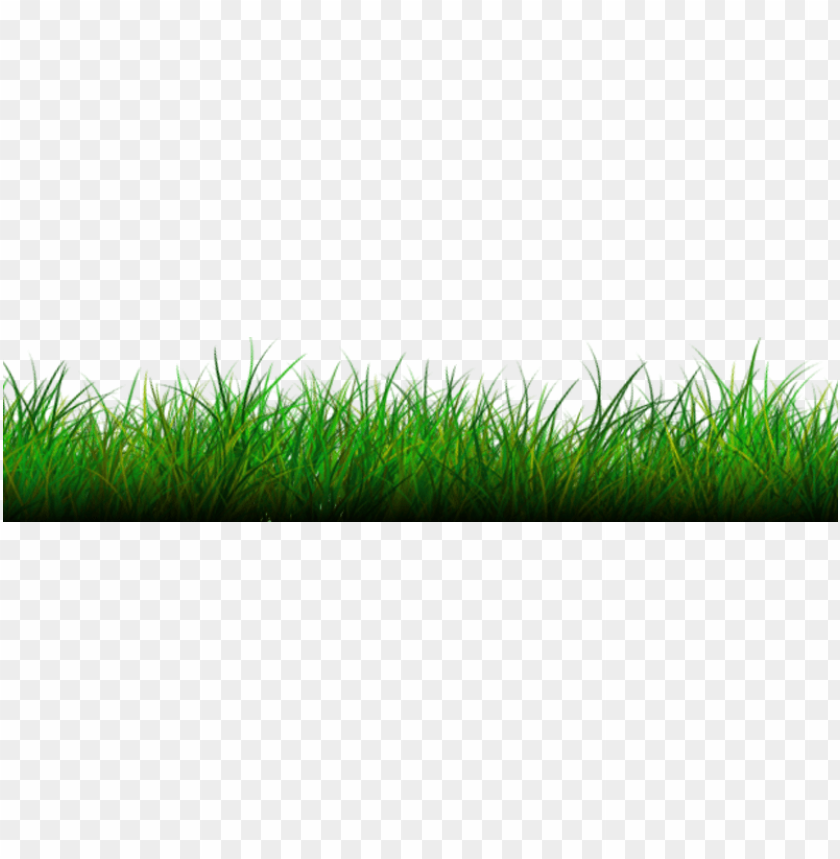 PNG image of grass with a clear background - Image ID 8426
