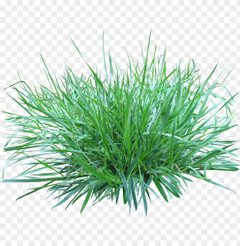 Download Grass Png Images Background