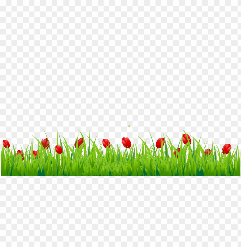 PNG image of grass with a clear background - Image ID 25453