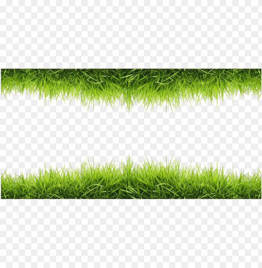PNG image of grass with a clear background - Image ID 25459