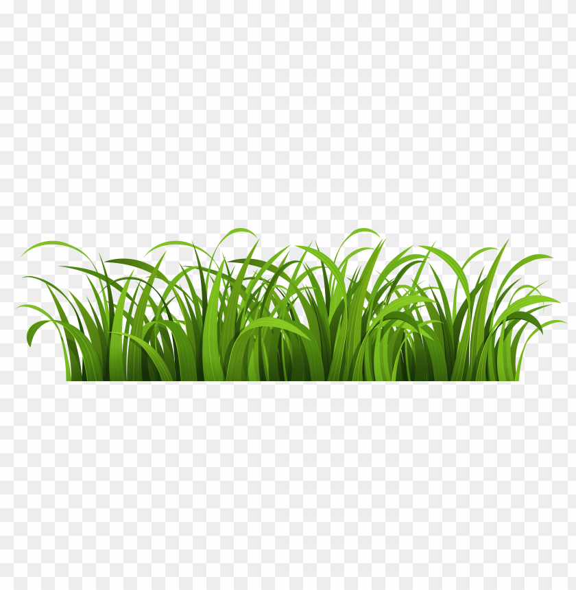 PNG image of grass with a clear background - Image ID 25520