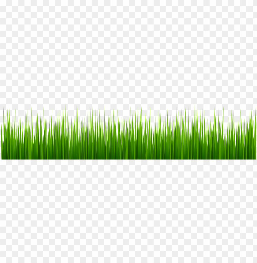 grass clipart png photo - 31381