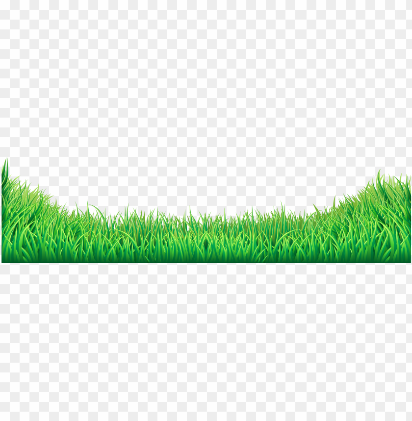royalty, green grass, grass hill, ornamental grass, grass vector, grass border