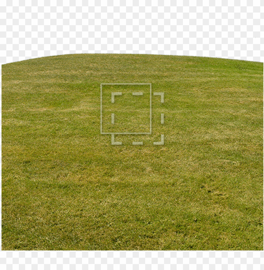 grass hill, green grass, ornamental grass, grass vector, grass border, minecraft grass block