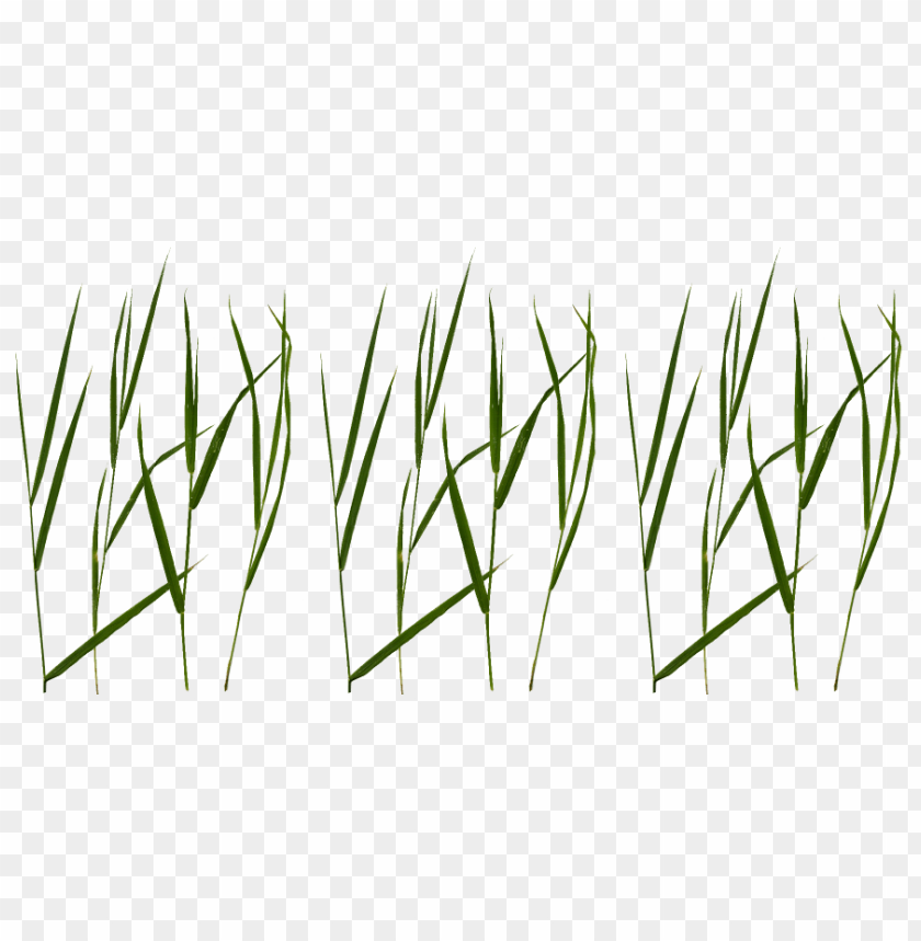 grass texture, texture background, scratch texture, green grass, dot texture, ice texture