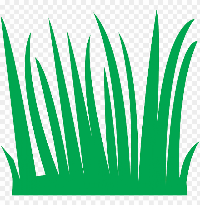grass blades cartoon PNG image with transparent background | TOPpng