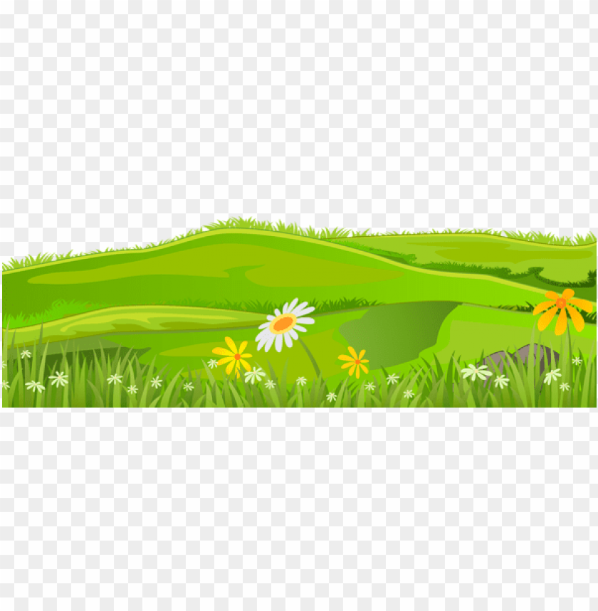 grass ,grounds ,coverings ,herb , grass , weed , pasture 