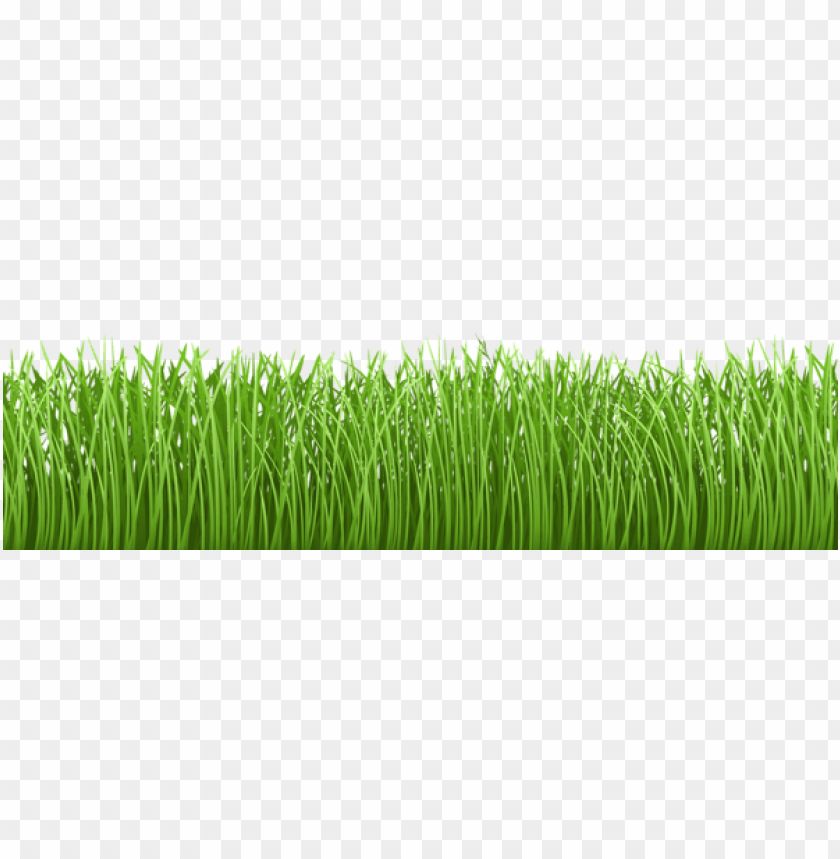 PNG image of grass ground cover transparent with a clear background - Image ID 48614