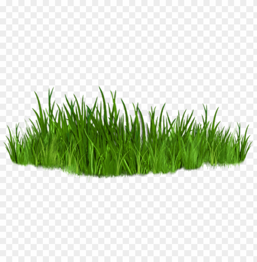 Download grass path ground png images background | TOPpng