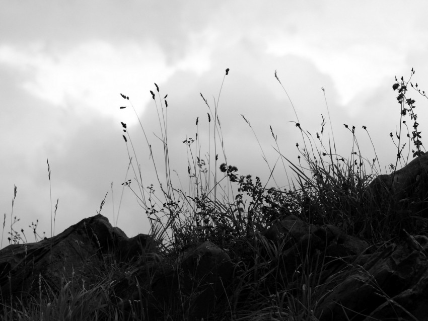 grass, stones, bw, hill, sky, clouds