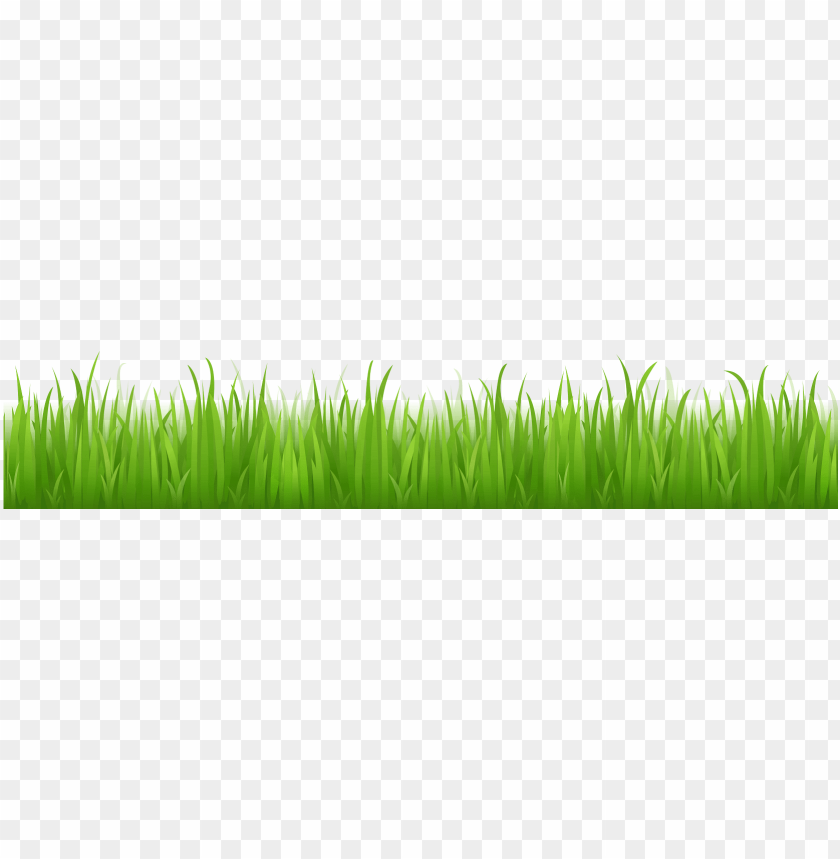 grass with no background PNG transparent with Clear Background ID 81034