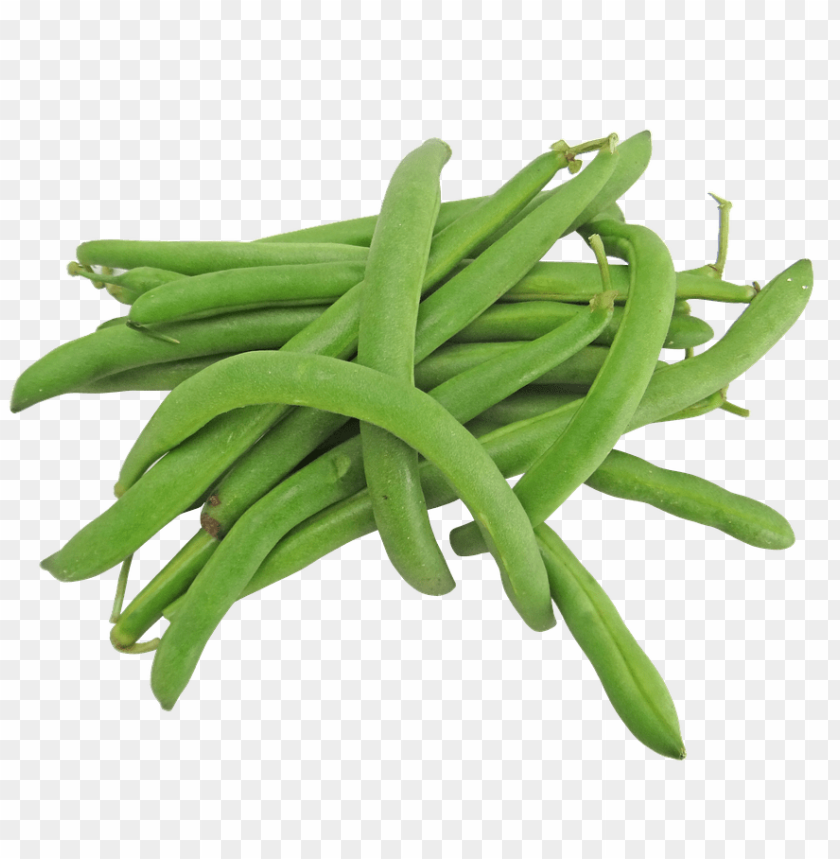 Free download | HD PNG Transparent green beans PNG background - Image ...