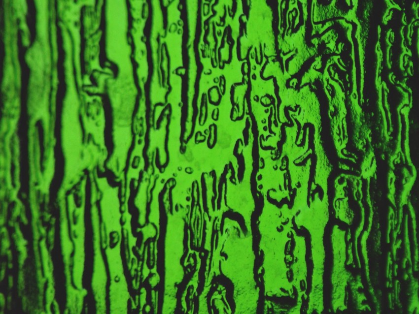 green, embossed, texture, surface